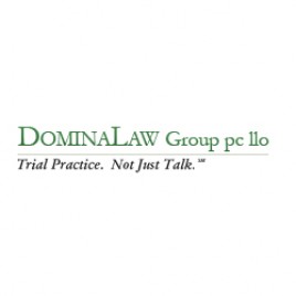 Domina Law Group logo